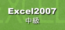 Excel2007中級